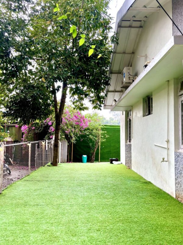 OLIVE TREE VILLA 2BHK